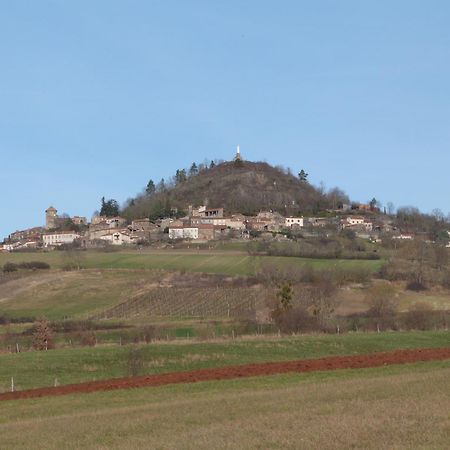 Chateau Des Aiguilles Saint-Rémy-de-Chargnat Εξωτερικό φωτογραφία