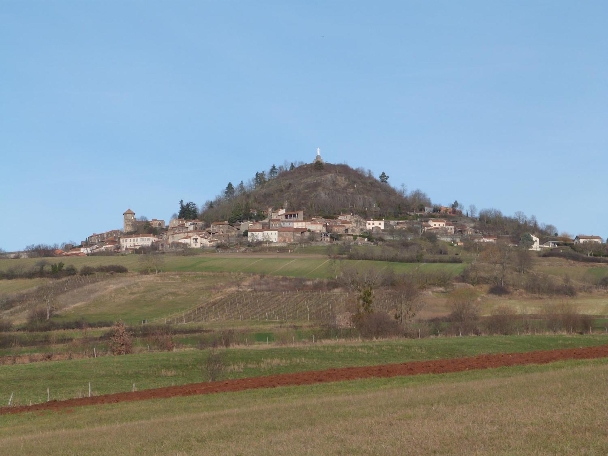 Chateau Des Aiguilles Saint-Rémy-de-Chargnat Εξωτερικό φωτογραφία