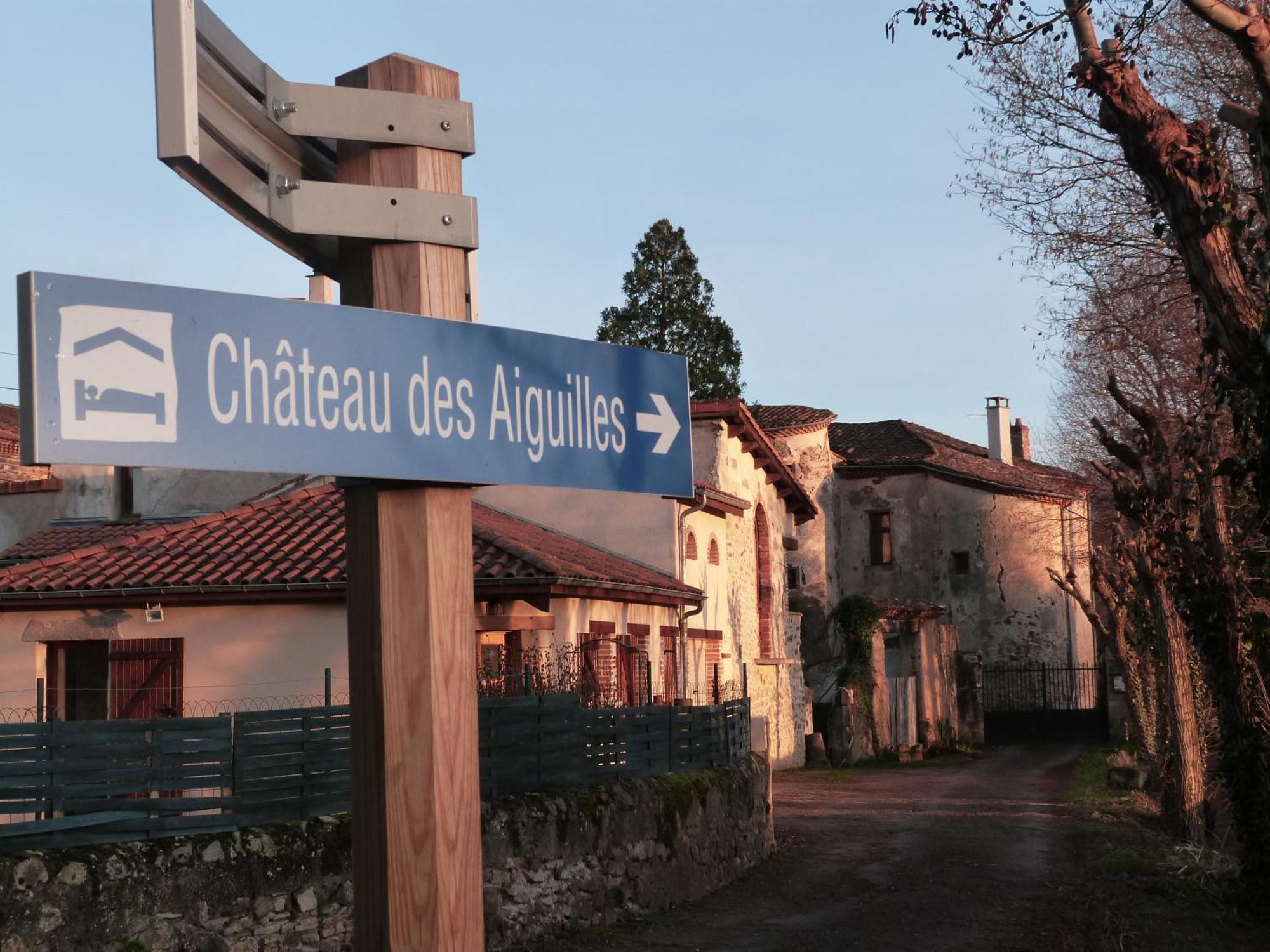 Chateau Des Aiguilles Saint-Rémy-de-Chargnat Εξωτερικό φωτογραφία
