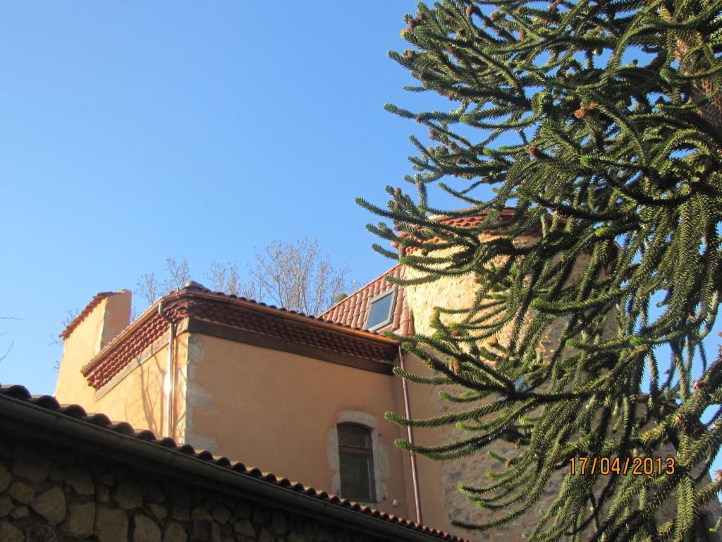 Chateau Des Aiguilles Saint-Rémy-de-Chargnat Εξωτερικό φωτογραφία