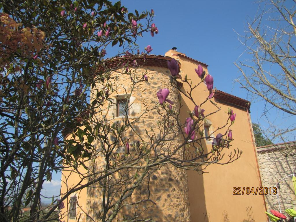 Chateau Des Aiguilles Saint-Rémy-de-Chargnat Εξωτερικό φωτογραφία