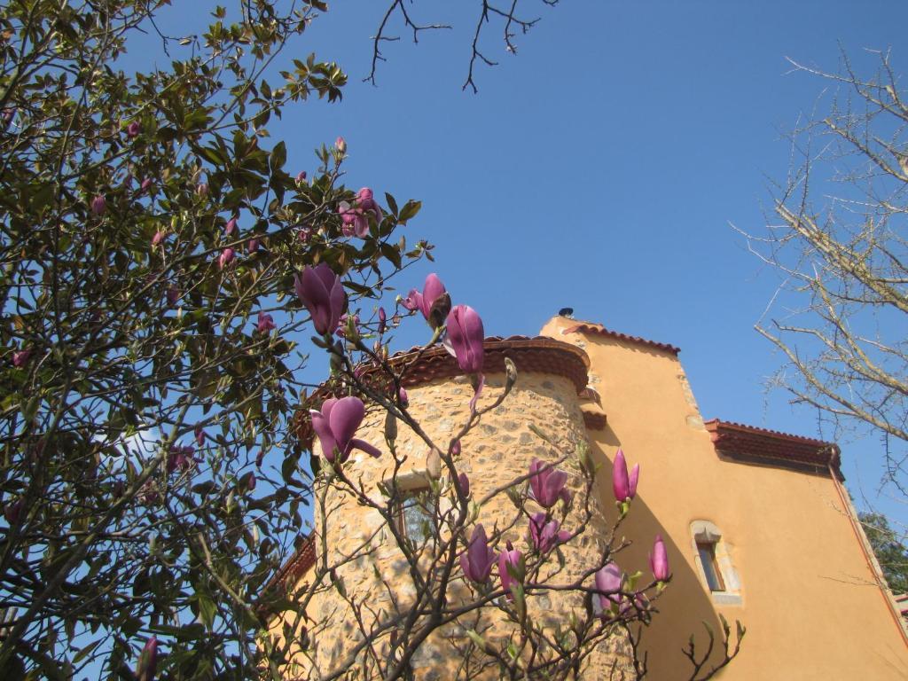 Chateau Des Aiguilles Saint-Rémy-de-Chargnat Εξωτερικό φωτογραφία